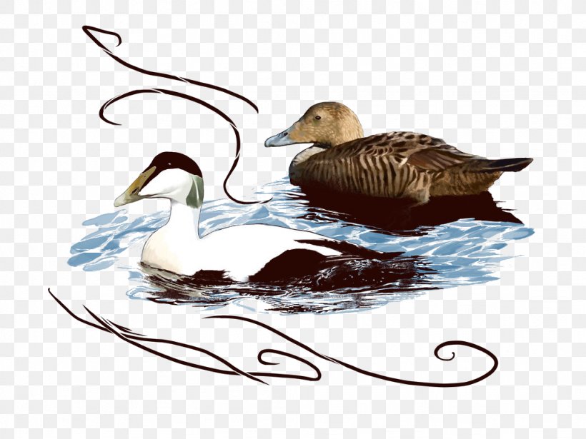 Duck Goose Icon, PNG, 1024x768px, Duck, Beak, Bird, Deviantart, Ducks Geese And Swans Download Free