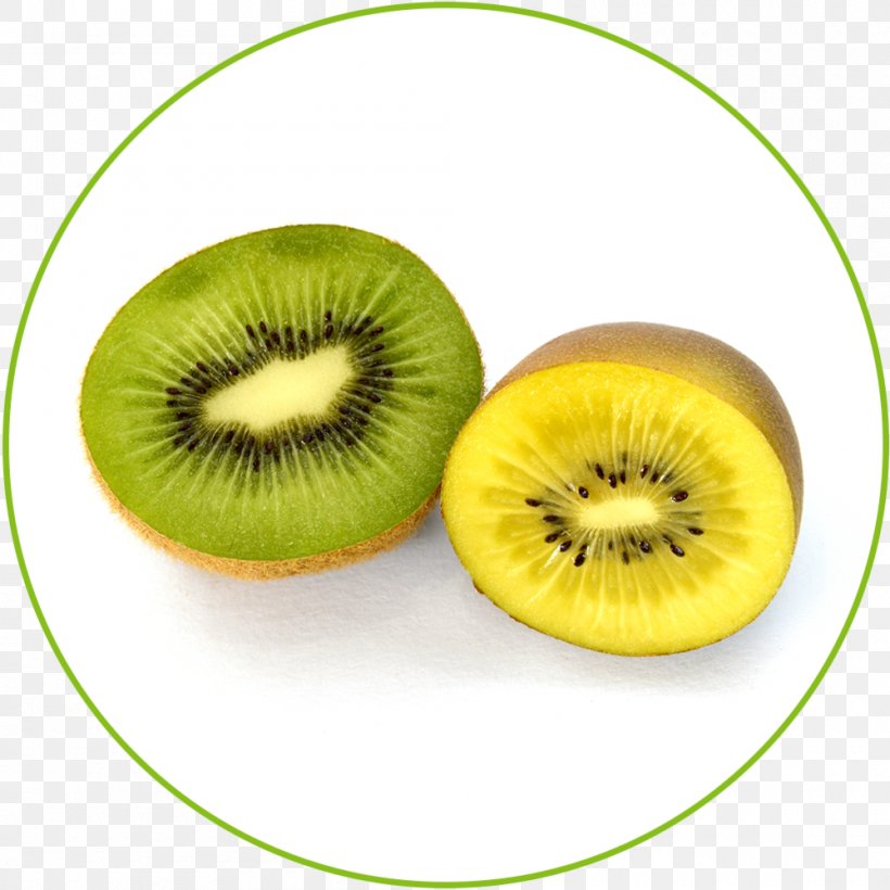 Kiwifruit Food Business Actinidia Chinensis, PNG, 1000x1000px, Kiwifruit, Actinidia Chinensis, Avocado, Avocado Oil, Business Download Free