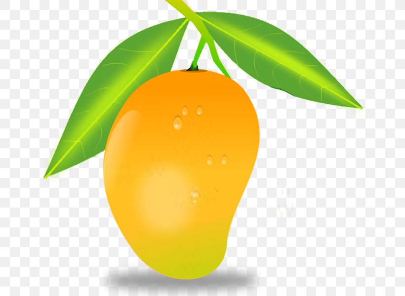 Mango Clip Art, PNG, 650x599px, Mango, Citrus, Food, Fruit, Leaf Download Free