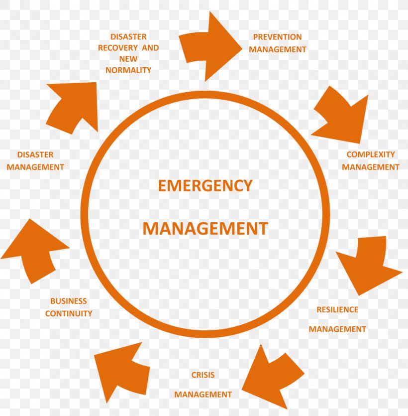 Research Business Process Management Methodology, PNG, 1032x1052px, Research, Area, Brand, Brand Management, Business Download Free