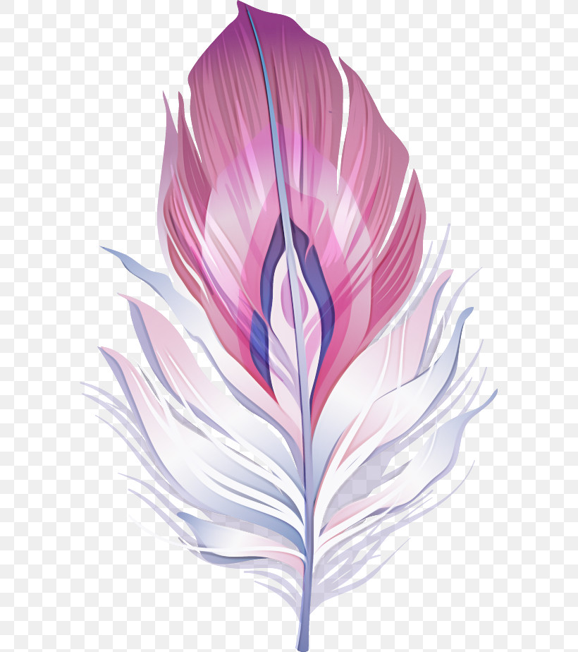 Feather, PNG, 593x924px, Flower, Biology, Feather, Leaf, Lilac M Download Free