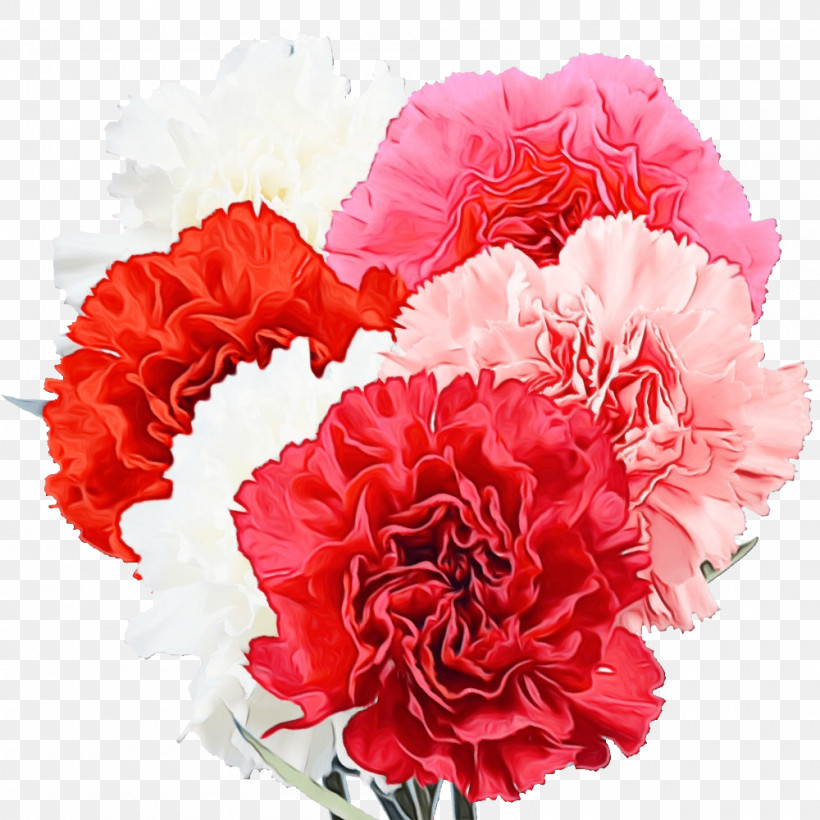 Floral Design, PNG, 1000x1000px, Watercolor, Annual Plant, Artificial Flower, Cabbage Rose, Carnation Download Free