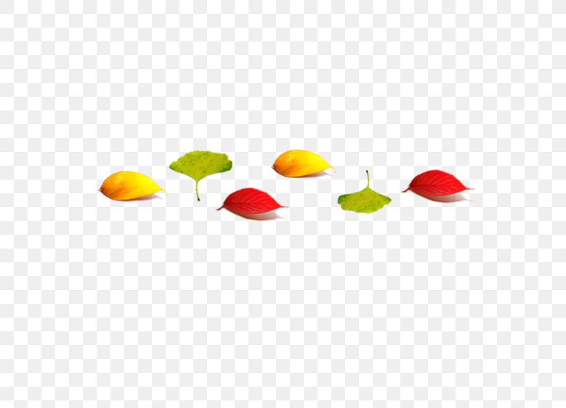 Home Page Clip Art, PNG, 591x591px, Home Page, Fruit, Leaf, Orange, Petal Download Free