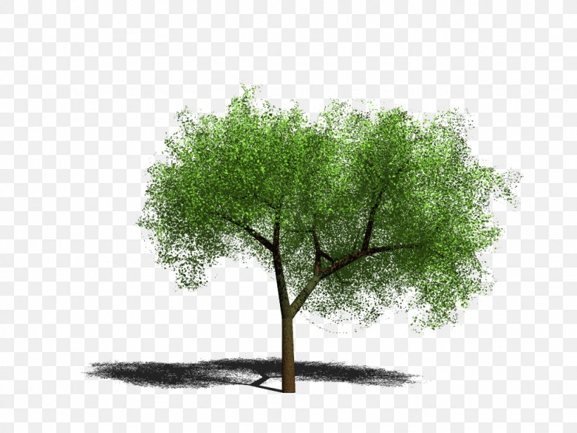 Tree Image PhotoScape Clip Art, PNG, 1024x768px, Tree, Branch, Flag Of Kurdistan, Grass, Green Download Free
