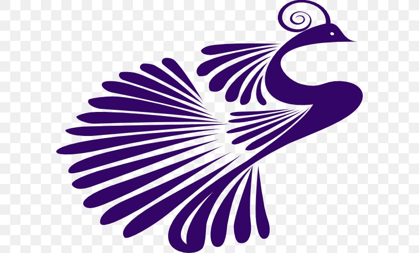 Purple Innovation Pavo Clip Art, PNG, 600x495px, Purple Innovation, Beak, Bird, Drawing, Feather Download Free