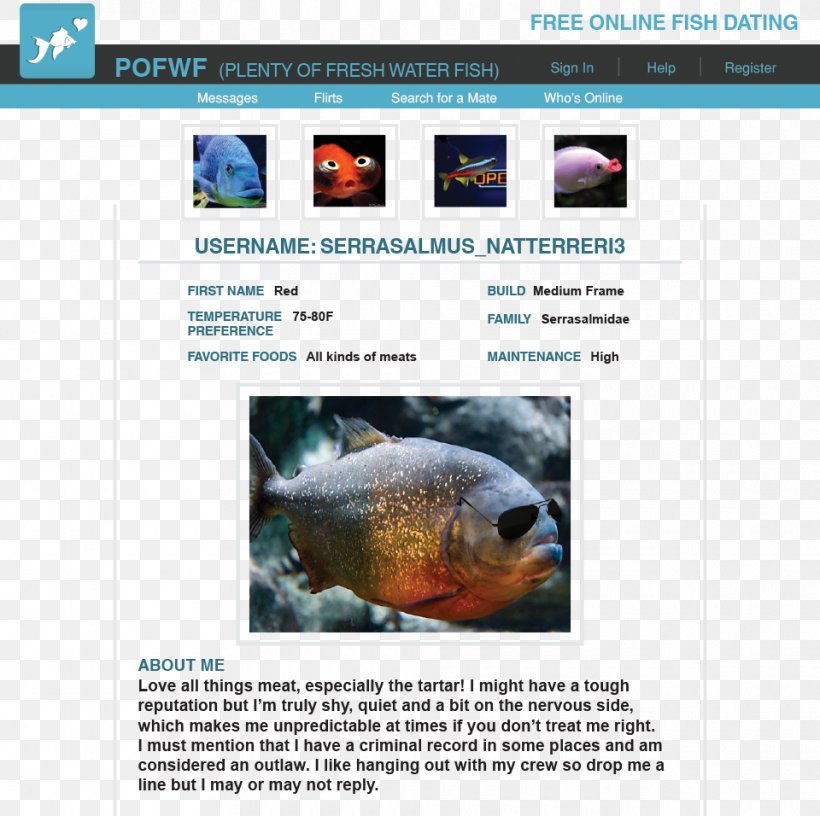 Ecosystem Web Page Fauna Marine Biology Red-bellied Piranha, PNG, 960x956px, Ecosystem, Biology, Fauna, Fish, Marine Biology Download Free