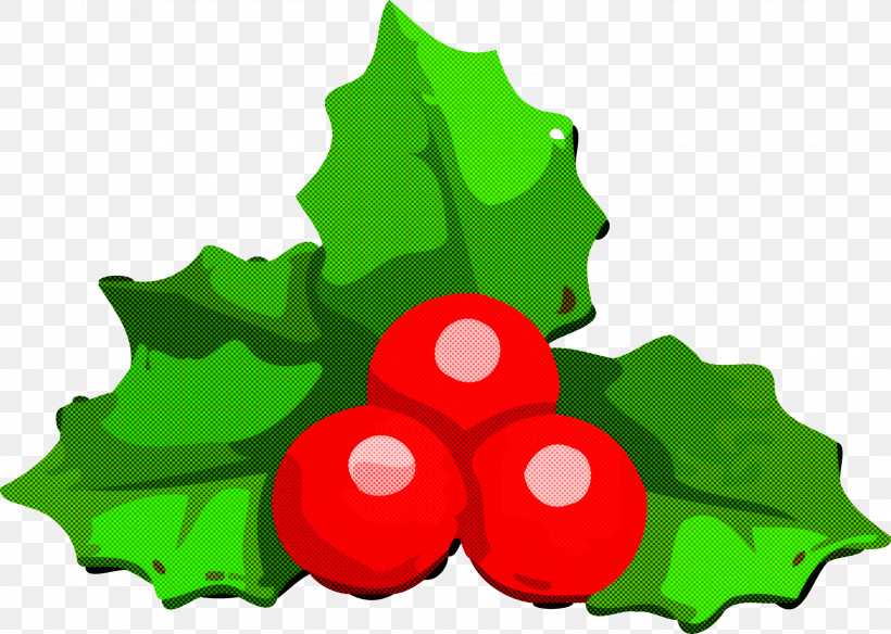 Holly Christmas Christmas Ornament, PNG, 3000x2140px, Holly, Christmas, Christmas Ornament, Green, Leaf Download Free