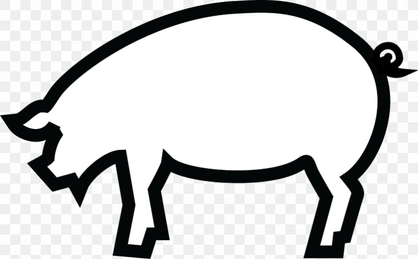 Pig Pre-clinical Development Clinical Trial Animal Clip Art, PNG, 822x510px, Pig, Animal, Animal Testing, Area, Artwork Download Free