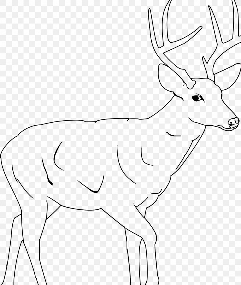 White-tailed Deer Elk Reindeer Antelope, PNG, 1430x1690px, Deer, Animal, Antelope, Antler, Artwork Download Free