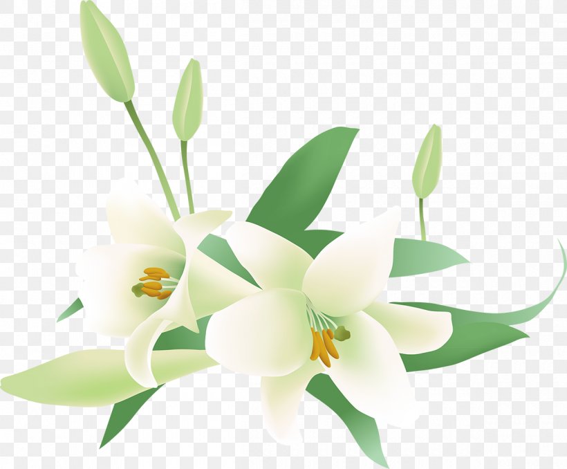 Jasmine Flower Clip Art, PNG, 1200x993px, Jasmine, Artificial Flower, Arumlily, Calla Lily, Cattleya Download Free
