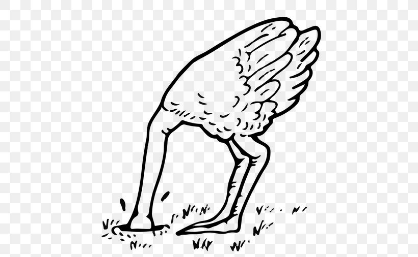 Common Ostrich Bird Egg Coloring Book Clip Art, PNG, 500x506px, Common Ostrich, Area, Art, Artwork, Beak Download Free