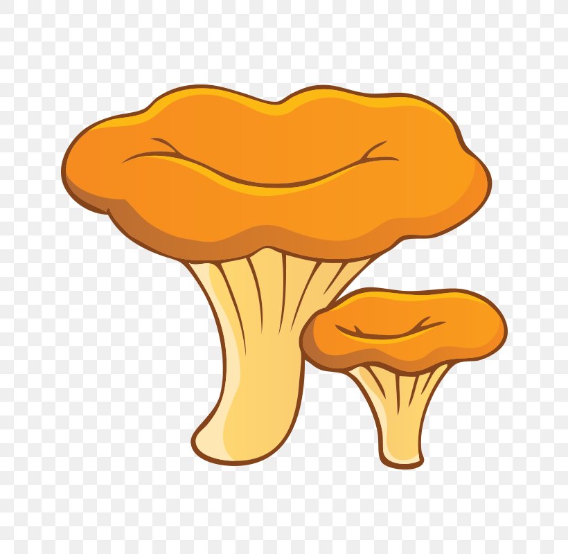 Chanterelle Fungus Edible Mushroom Morchella, PNG, 800x800px, Chanterelle, Amanita, Aspen Mushroom, Boletus, Brown Cap Boletus Download Free