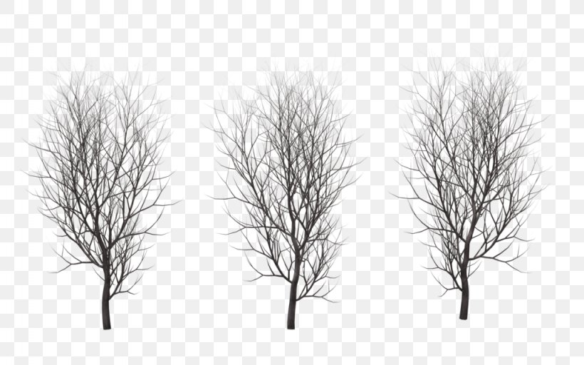Drawing Trees Branch Plant, PNG, 1024x640px, Tree, Black And White, Branch, Drawing Trees, Grass Download Free