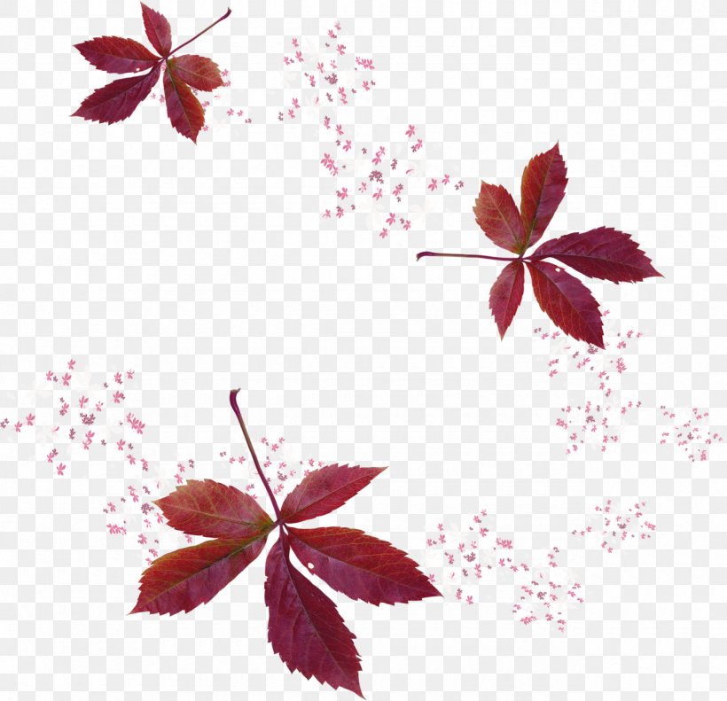 Leaf Painter Autumn, PNG, 1280x1235px, Leaf, Art, Autumn, Blog, Branch Download Free