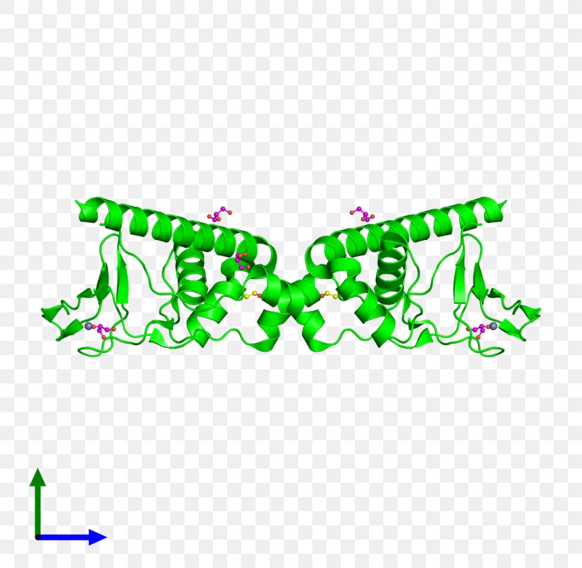 Logo Font, PNG, 800x800px, Logo, Animal, Area, Art, Green Download Free