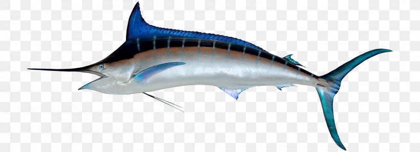 Swordfish Marlin Fishing, PNG, 1920x700px, Fish, Anchovy, Atlantic Blue Marlin, Atlantic Spanish Mackerel, Billfish Download Free