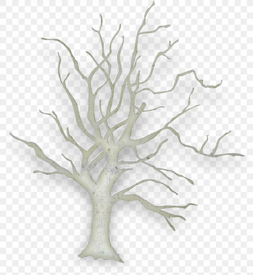 Tree Image Drawing Plants, PNG, 1200x1300px, Tree, Aquarium Decor, Botany, Branch, Drawing Download Free