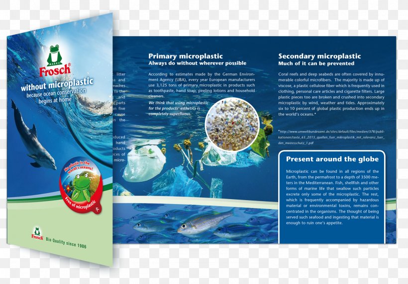 Water Resources Organism Brand, PNG, 1572x1097px, Water Resources, Advertising, Brand, Brochure, Organism Download Free