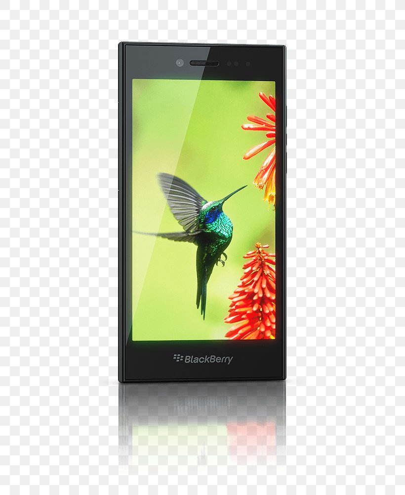 BlackBerry Leap Smartphone Internet Comparison Shopping Website, PNG, 800x1000px, Blackberry Leap, Blackberry, Blackberry 10, Butterfly, Communication Device Download Free