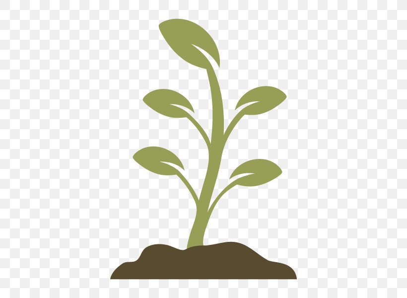 Plant, PNG, 600x600px, Plant, Branch, Flowerpot, Grass, Leaf Download Free