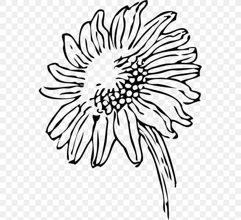 Line Art Common Sunflower Clip Art, PNG, 555x749px, Line Art, Artwork, Black, Black And White, Blog Download Free