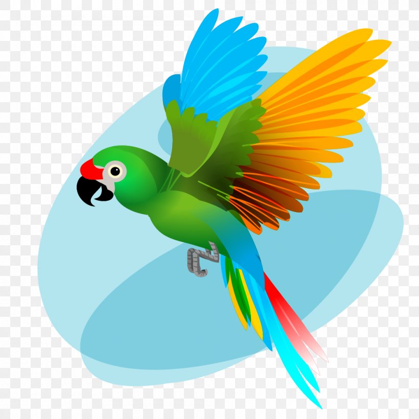 Macaw Beak Budgerigar Bird, PNG, 1000x1000px, Macaw, Animaatio, Beak, Bird, Budgerigar Download Free