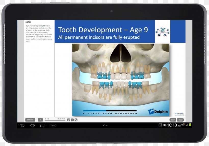 Orthodontics Trapezio, PNG, 2790x1956px, Orthodontics, Course, Dental Assistant, Dentistry, Education Download Free