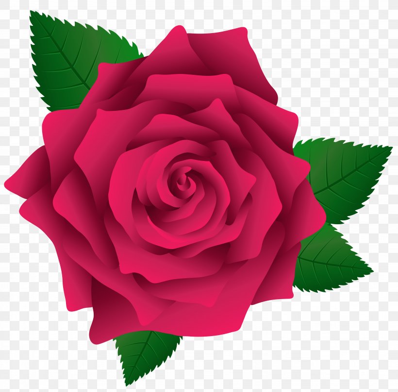 Rose Pink Clip Art, PNG, 5953x5854px, Rose, Black Rose, Blog, Close Up, Cut Flowers Download Free