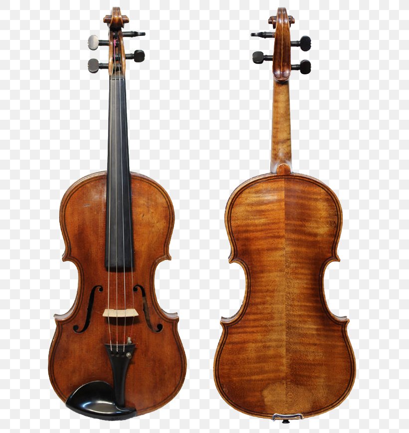 Stradivarius Violin Luthier Guarneri String Instruments, PNG, 672x868px, Stradivarius, Acoustic Electric Guitar, Antonio Stradivari, Bass Guitar, Bass Violin Download Free