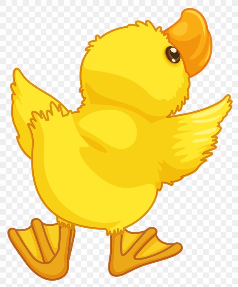 Baby Ducks Cartoon, PNG, 848x1024px, Duck, Animal Figure, Baby Ducks, Beak,  Bird Download Free