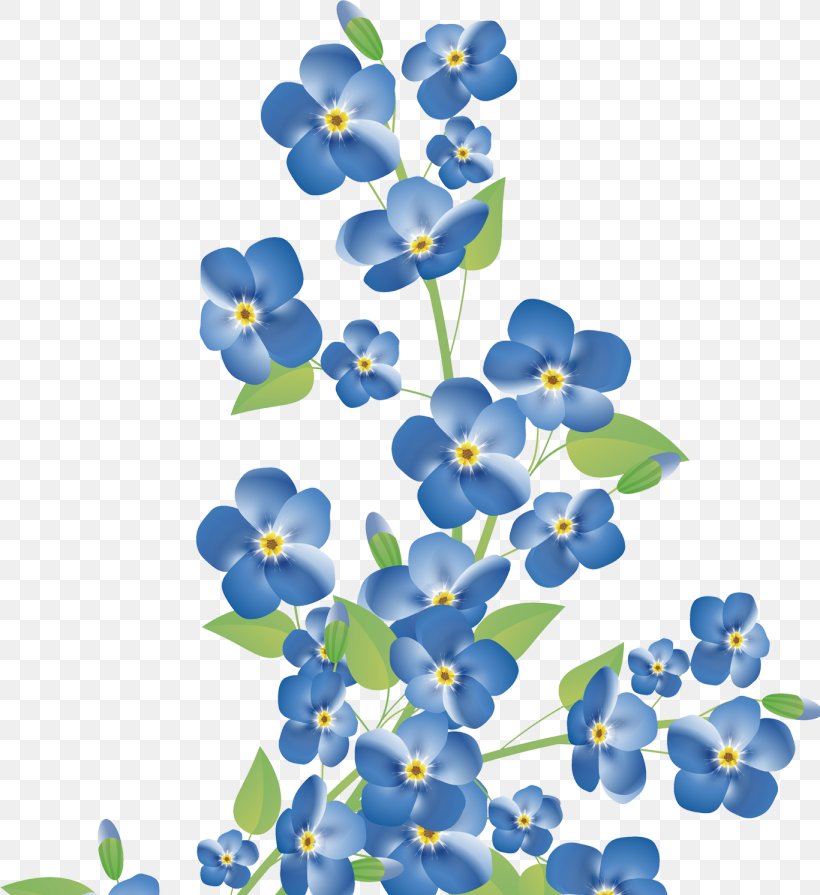 Flower Stock Photography, PNG, 820x895px, Flower, Blue, Bluebonnet, Borage Family, Branch Download Free