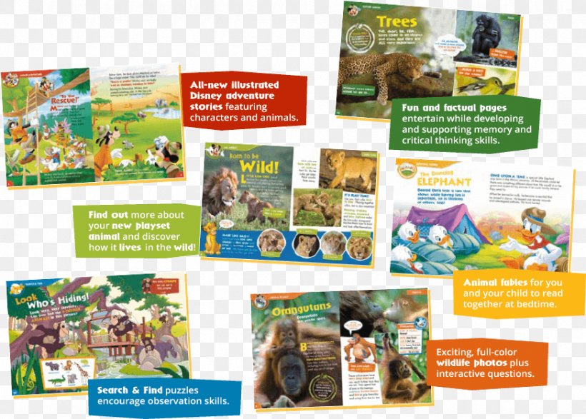 Ecosystem Fauna Brochure, PNG, 873x626px, Ecosystem, Advertising, Brochure, Fauna Download Free