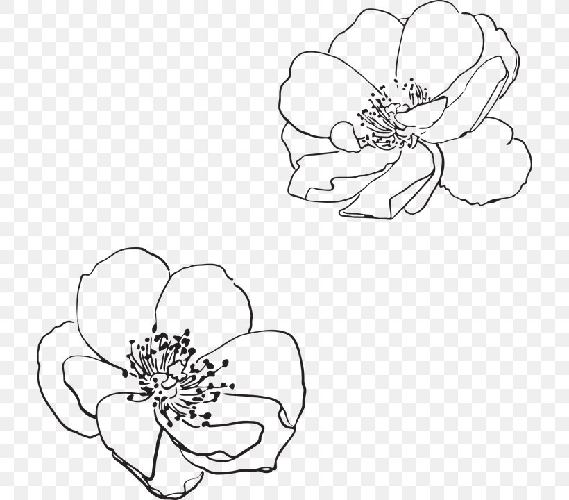 Line Art Drawing Flower Visual Arts, PNG, 714x720px, Watercolor, Cartoon, Flower, Frame, Heart Download Free