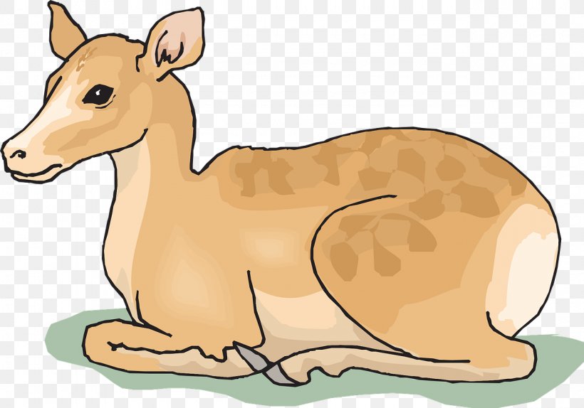 White-tailed Deer Reindeer Clip Art, PNG, 1280x896px, Deer, Carnivoran, Dog Like Mammal, Fauna, Kangaroo Download Free