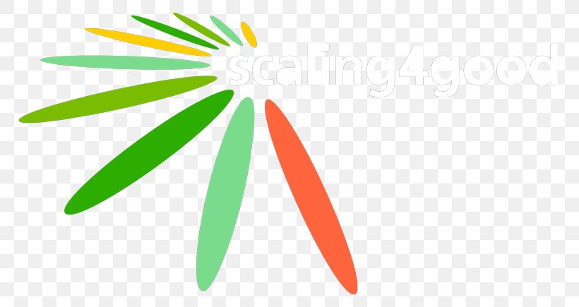 Clip Art Logo Line, PNG, 800x435px, Logo, Flower, Grass, Leaf, Petal Download Free