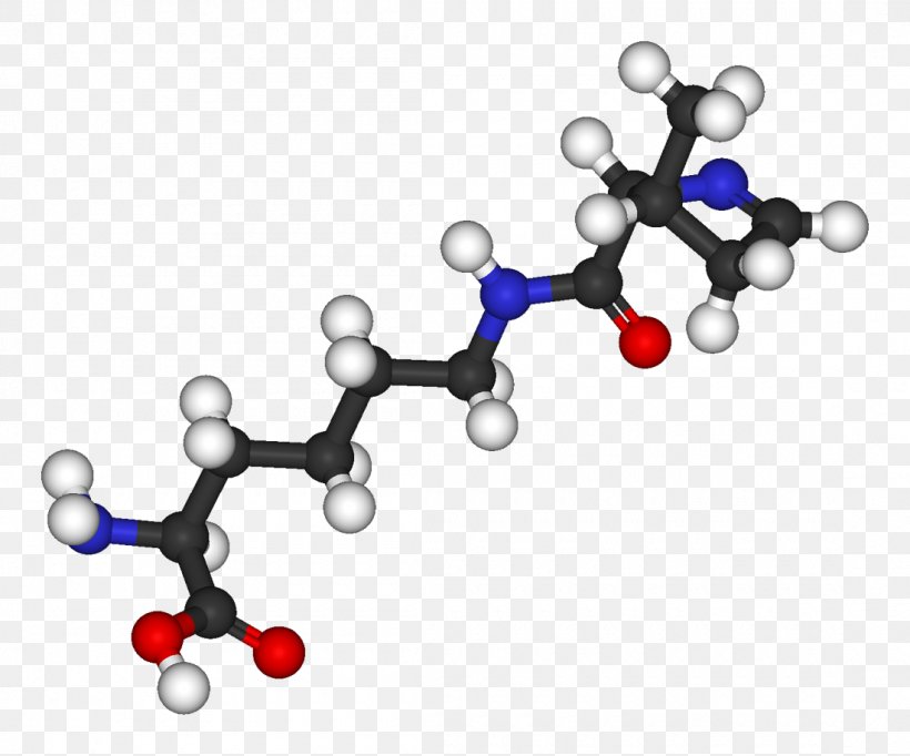 Pyrrolysine Amino Acid Stop Codon Methanogen Genetic Code, PNG, 1100x915px, Watercolor, Cartoon, Flower, Frame, Heart Download Free