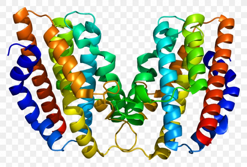 HMOX1 Heme Oxygenase Enzyme Gene, PNG, 867x586px, Heme Oxygenase, Bead, Binding Site, Biology, Body Jewelry Download Free