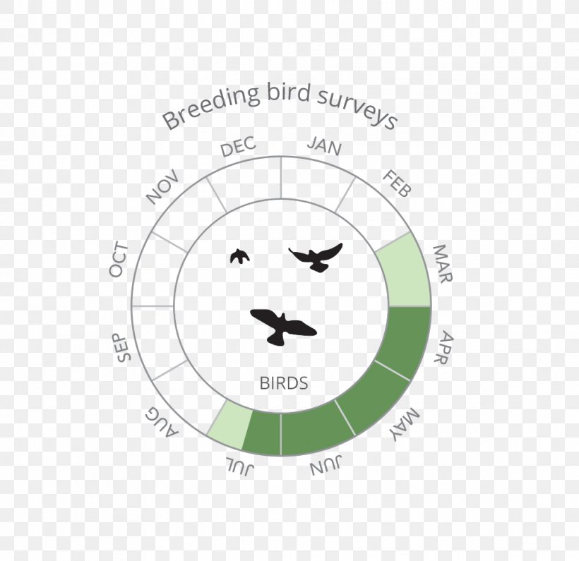 Logo Breeding Bird Survey Contract Ecology, PNG, 1017x986px, Logo, Animal, Area, Bird, Brand Download Free