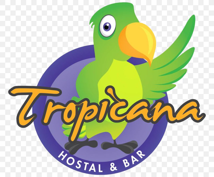 Tropicana Hostel Logo Macaw Backpacker Hostel Clip Art, PNG, 768x678px, Logo, Antigua Guatemala, Backpacker Hostel, Bar, Beak Download Free