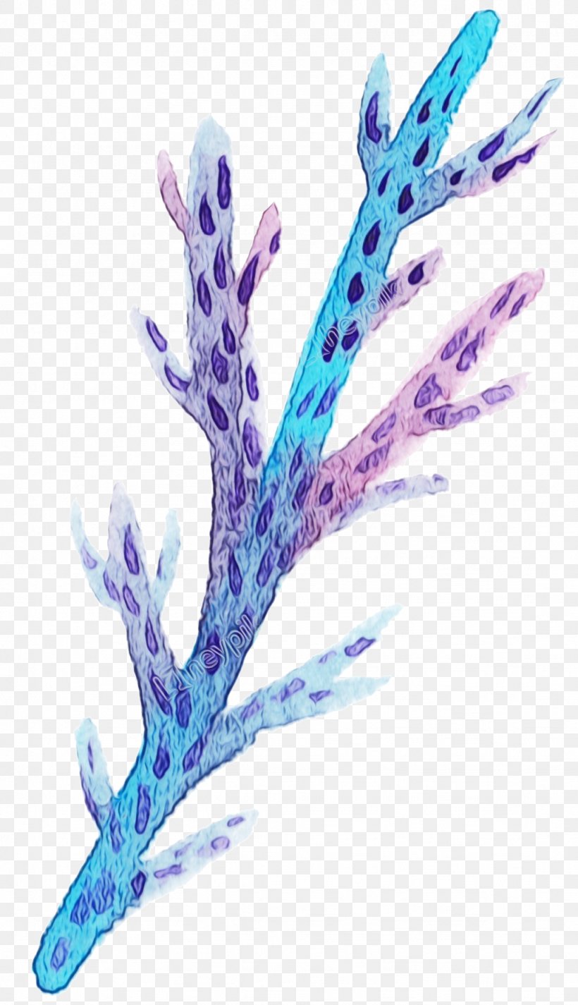 Coral Reef Background, PNG, 1024x1780px, Watercolor, Aquarium Decor, Blue Coral, Branch, Cartoon Download Free