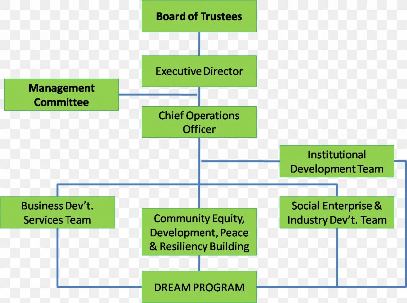 Non-Governmental Organisation Organizational Structure Board Of Directors Chairman, PNG, 1293x965px, Nongovernmental Organisation, Area, Board Of Directors, Business, Chairman Download Free