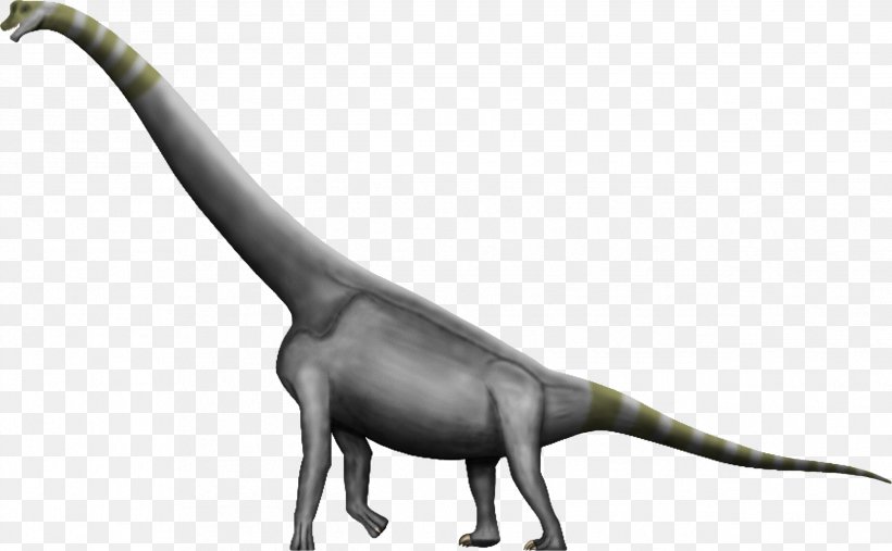 Brachiosaurus Argentinosaurus Dinosaur Size Amphicoelias Morrison Formation, PNG, 2534x1567px, Brachiosaurus, Allosaurus, Amphicoelias, Animal Figure, Argentinosaurus Download Free