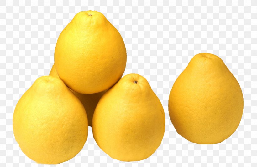 Lemon Grapefruit Juice Pomelo, PNG, 1024x667px, Lemon, Auglis, Citric Acid, Citron, Citrus Download Free