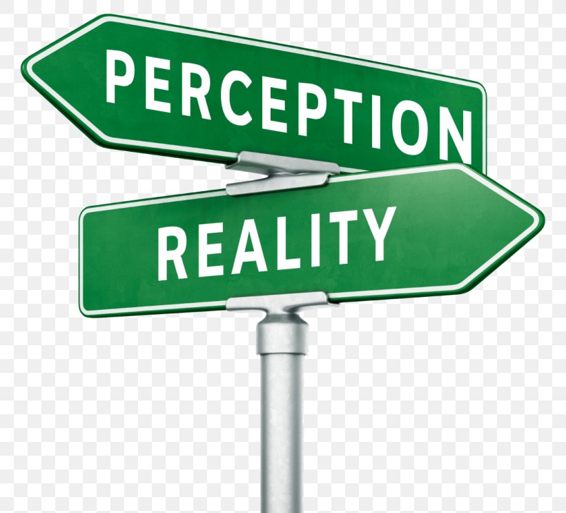 Perception Reality United States Thought Reason, PNG, 768x743px, Perception, Being, Brand, Consciousness, Feeling Download Free