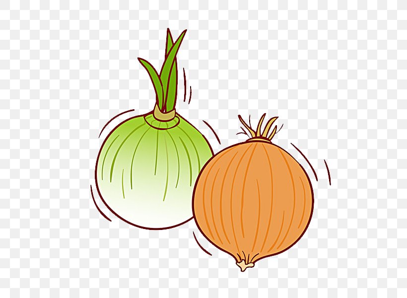 Calabaza Pumpkin Onion Vegetable Illustration, PNG, 600x600px, Calabaza, Cartoon, Commodity, Cucurbita, Food Download Free