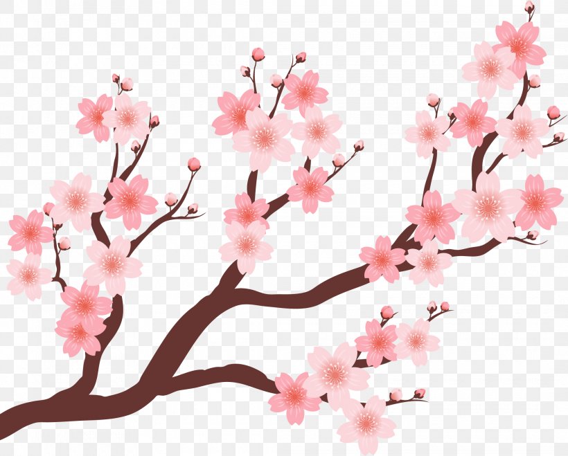 Cherry Blossom Plum Blossom, PNG, 2120x1706px, Cherry Blossom, Blossom, Branch, Floral Design, Flower Download Free