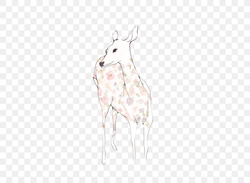 Giraffe Reindeer Horse Hare Fauna, PNG, 600x600px, Giraffe, Antler, Deer, Drawing, Fauna Download Free