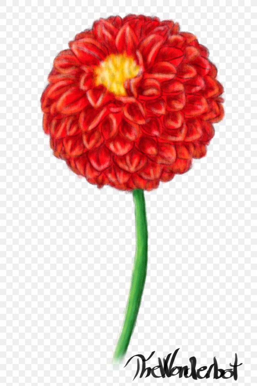 Red Dahlia Petal Cut Flowers, PNG, 1000x1500px, Red Dahlia, Artificial Flower, Chrysanthemum, Chrysanths, Cut Flowers Download Free