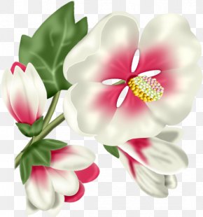 Tulip - Tulip Cut Flowers Petal Clip Art PNG