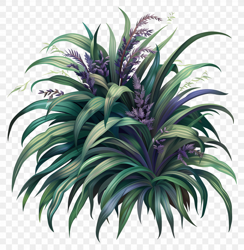 Variegated Liriope - Dense And Lush Green Foliage PNG